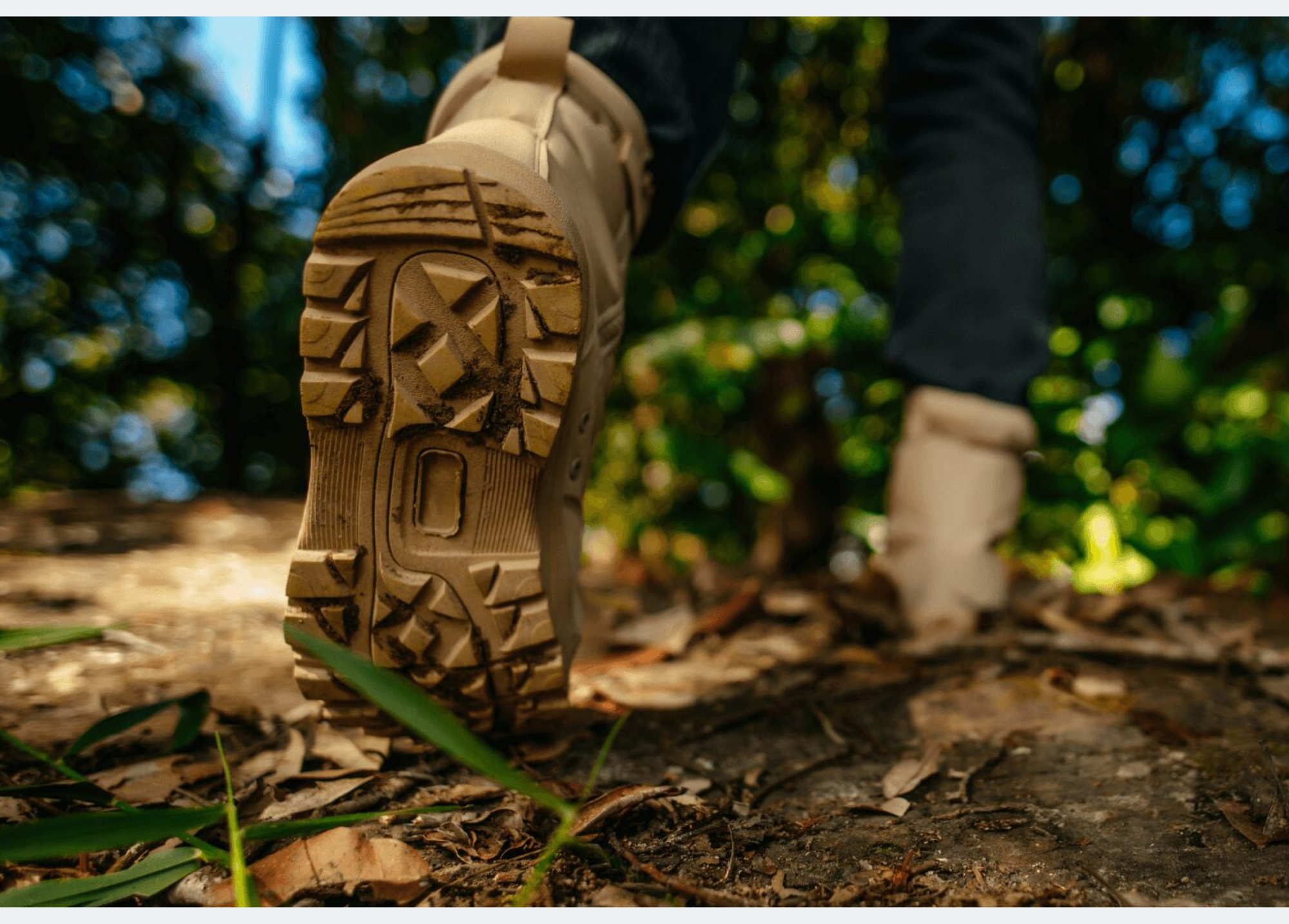 Tipos de trilhas e como escolher a ideal para você!