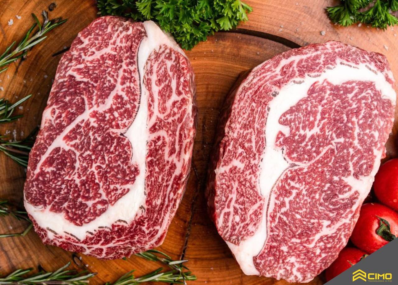 Bife Ancho: o segredo para um churrasco perfeito