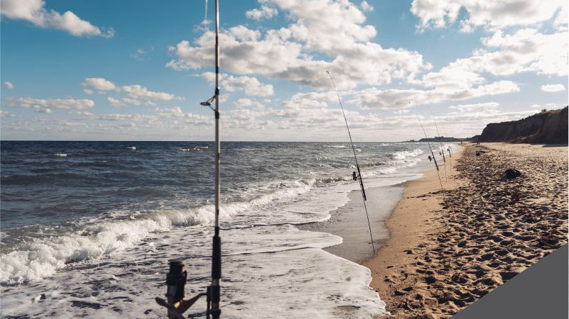 Pescaria de praia: guia para iniciantes!