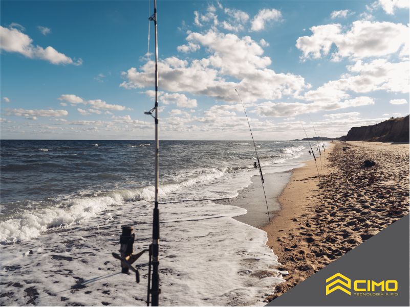 Pescaria de praia: guia para iniciantes!