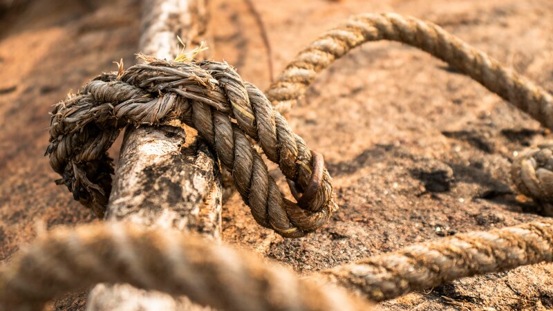 6 Tipos de armadilhas e como fazê-las para sobrevivência