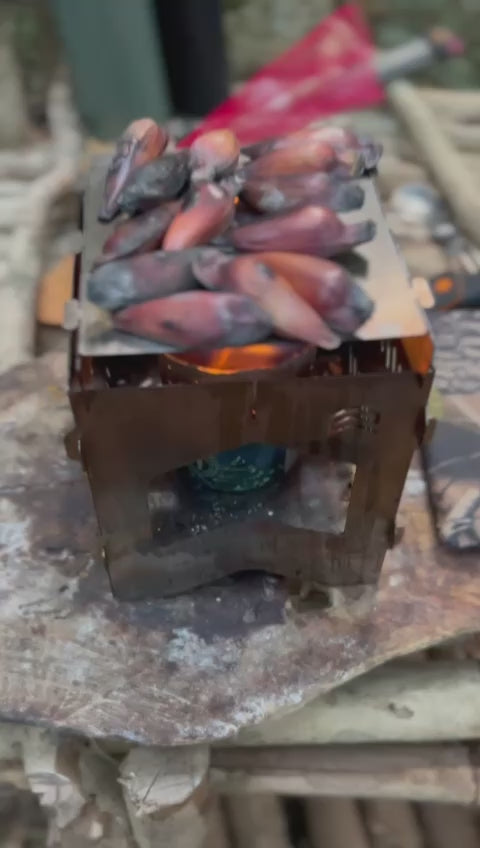 Fogareiro Desmontável Cimo Inoxfire Com Bag Verde - IF120V